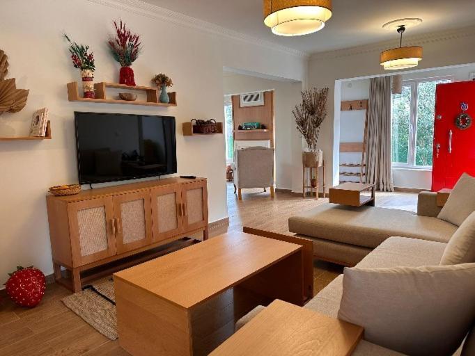 Villa Atlas Muhafazakar Havuzlu, Mustakil Genis Bahceli 사판자 외부 사진